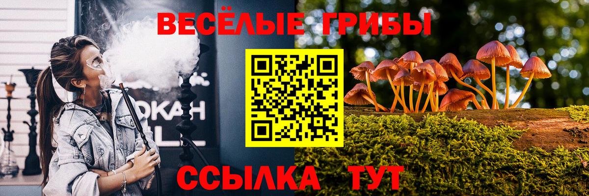 Югорск  Псилоцибиновые грибы Psilocybe  Вход с VPN 